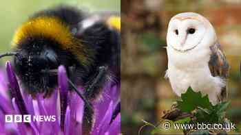 The wildlife winners set to appear on your banknotes revealed