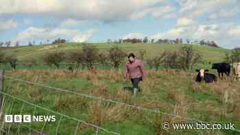 'My father abused me in the countryside. I felt trapped'