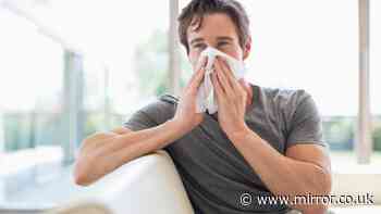 XFG American Covid surge - are you worried about new strain? Take our poll and have your say