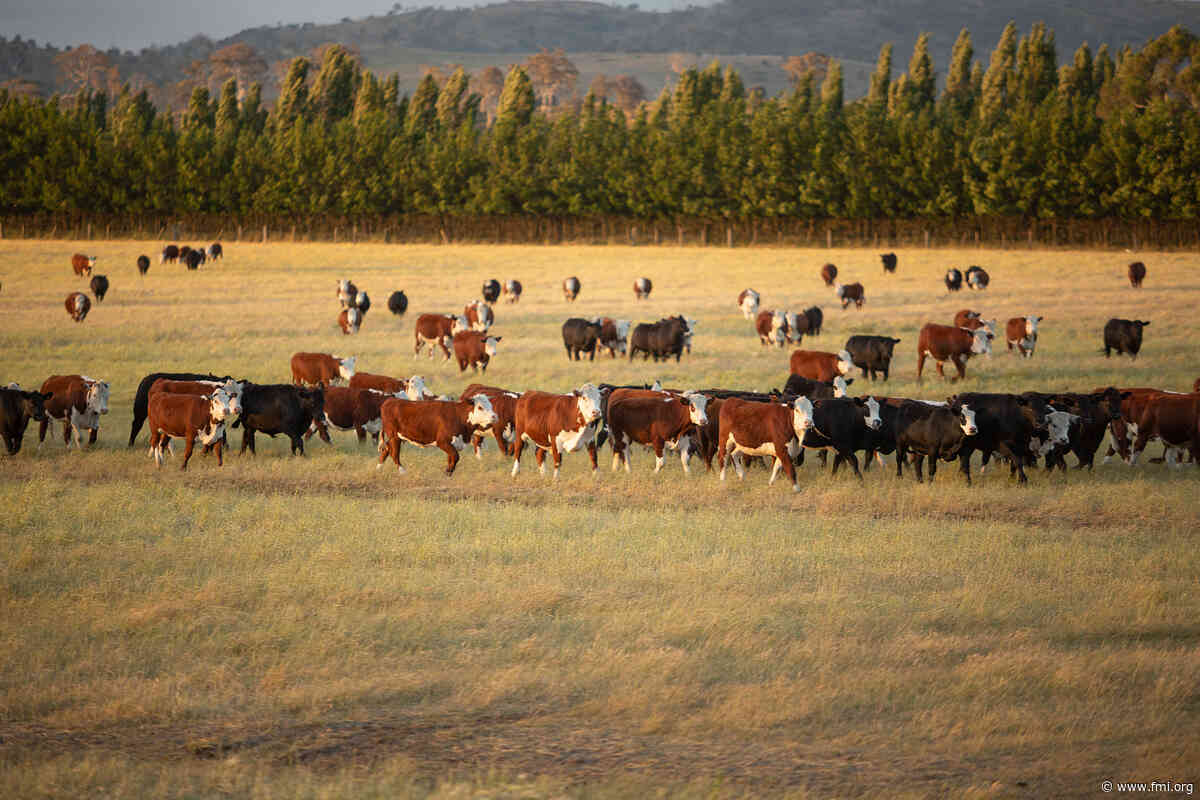 Sustainability Through a Farm Lens