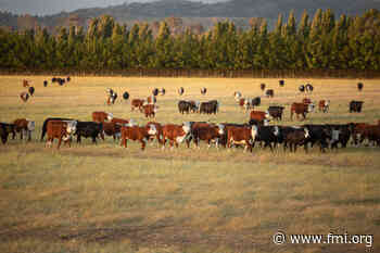 Sustainability Through a Farm Lens