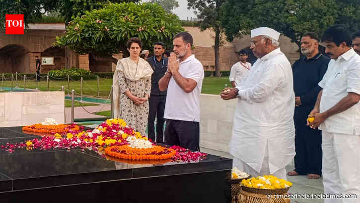 'Dhappa' gets a Day 3 twist as police allow Rahul, INDIA bloc MPs to protest at Raj Ghat