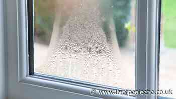 Prevent window condensation by cleaning glass with 1 common household item