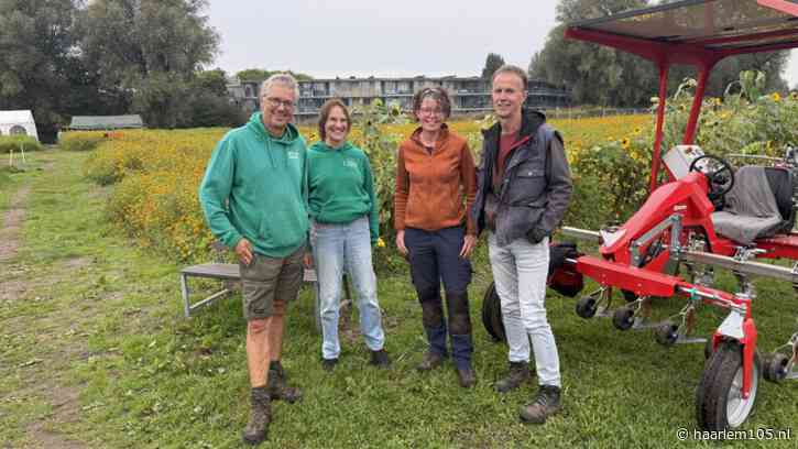 Nieuwe eigenaren voor zelfoogsttuin Ramplaankwartier: ‘We hebben het niet voor niets gedaan’