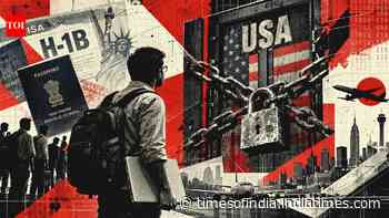 As Trump sours H-1B visa dream, which Indian IT professionals face biggest hit?