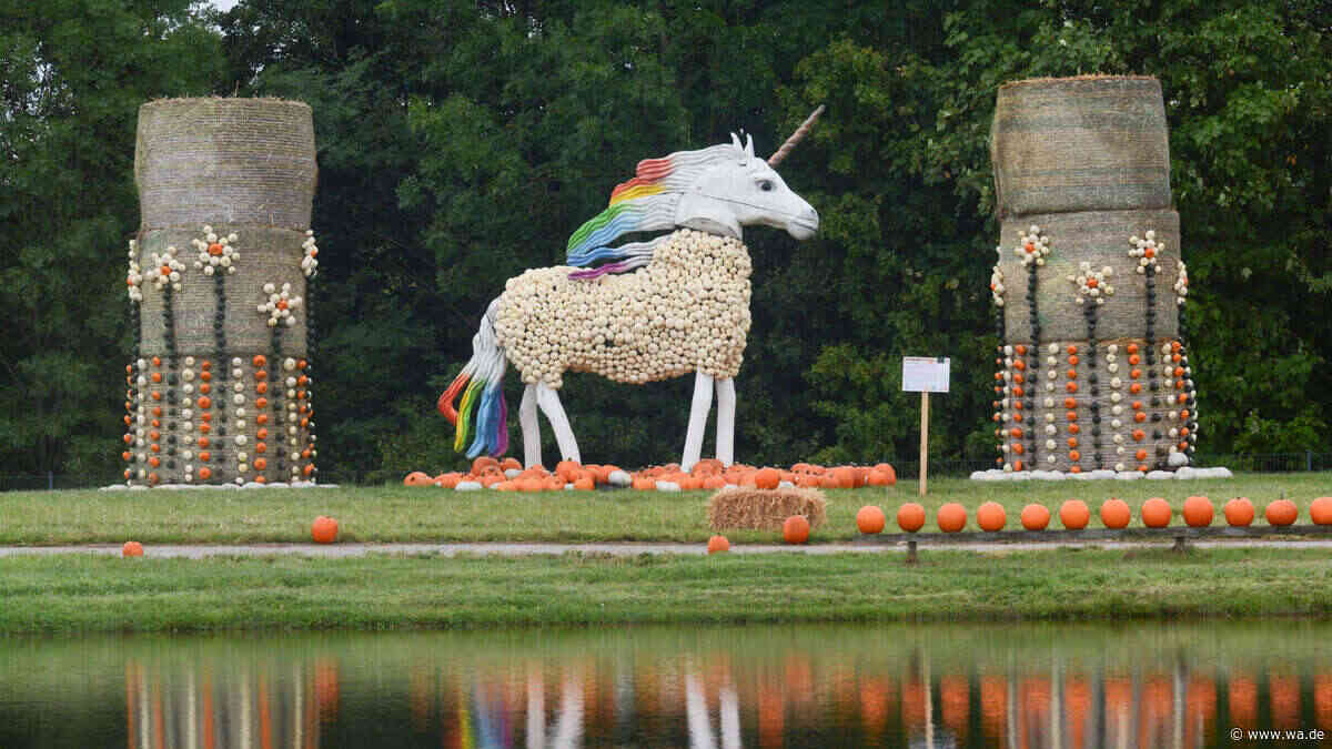 Schöne Herbstmärkte und Kürbisausstellungen in NRW: Die Tipps für den Oktober