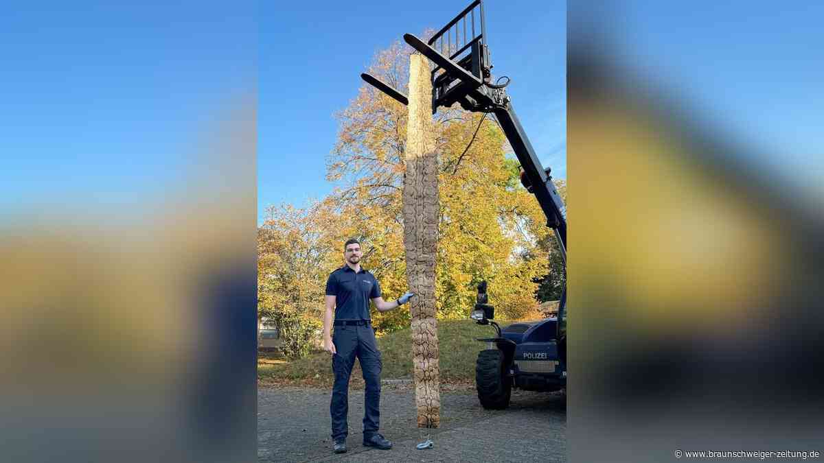 Kurioser Fund: Vier Meter lange Schlangenhaut liegt auf Gehweg in Braunschweig
