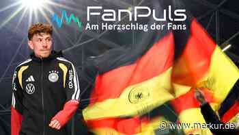 FanPuls-Voting: So lautet das Fazit zum DFB-Team