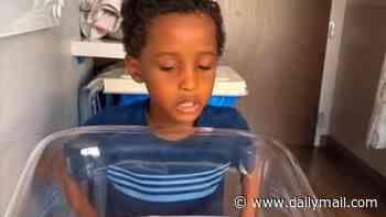 Little boy killed by falling electronic display board is pictured, as school tells family he was pushing it back and forth before it toppled on him