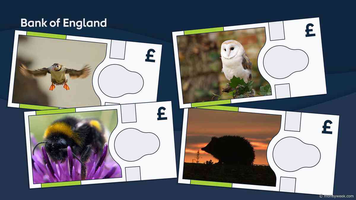Bank of England confirms the four animals to feature on new banknotes