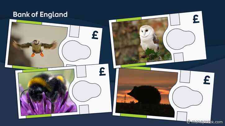 Bank of England confirms the four animals to feature on new banknotes