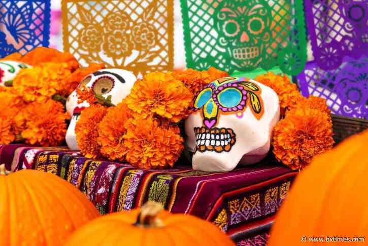 New York Botanical Garden launches inaugural Día de los Muertos celebration through Nov. 2