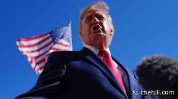 White House on possible Iran strikes before midterms: Trump ‘has all options’