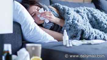 Flunami warning: Cases of flu surge to highest level since 2022 - amid COVID spike and warning of winter hospital crisis in autumn