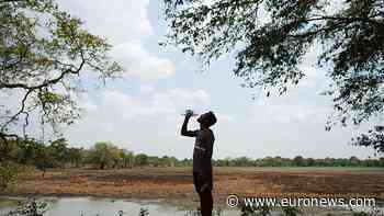 Dry wells and shrinking water holes as drought grips Sri Lanka