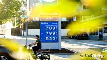 Oil rises after reports White House weighing Iran strikes