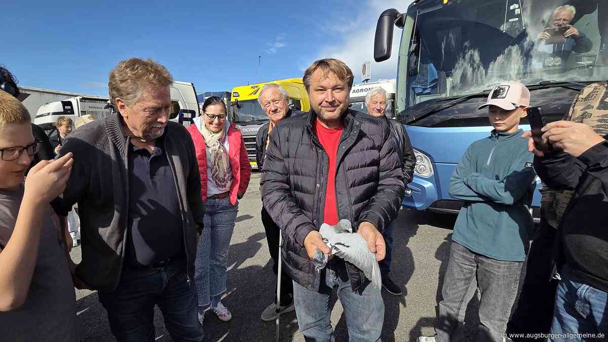 Brieftaube aus Tschechien verirrt sich nach Rennertshofen – Neuburger Delegation bringt sie heim