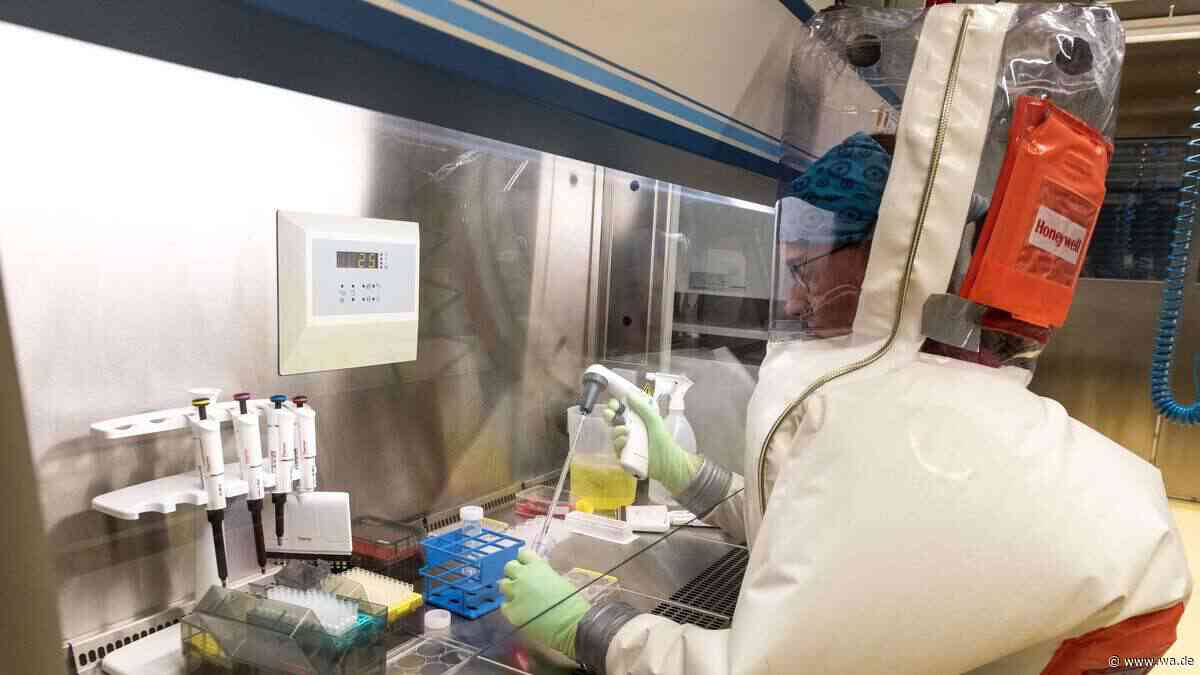 Pest-Verdacht in Russland schlimmer als gedacht? Experte hat Befürchtung