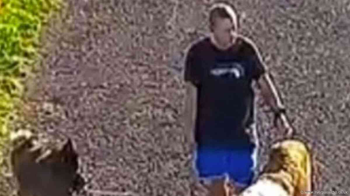 Dog walker could have 'vital information' after man's body found at West Kirby Marine Lake
