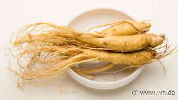 Ginseng in den Wechseljahren: Was eine neue Studie jetzt zeigt