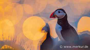 Preisgekrönte Naturfotografie aus Krailling