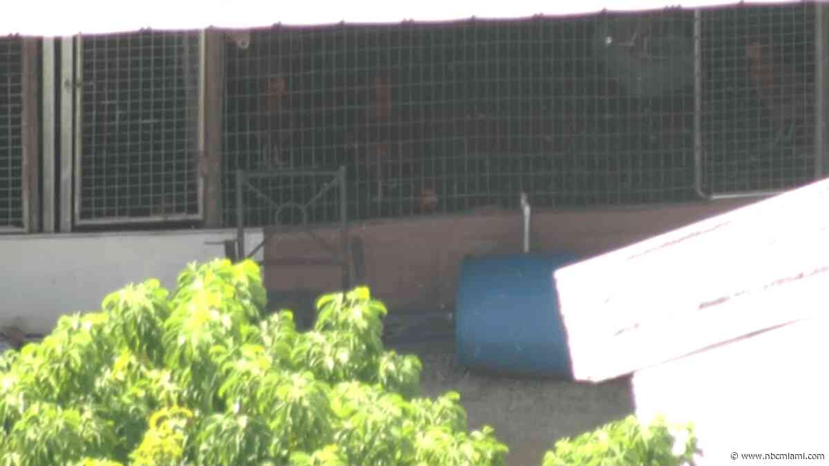 2nd arrest made after FBI raid uncovers massive Miami-Dade cockfighting operation