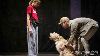 Stray dog who was just days away from being euthanized becomes showbiz favorite who has now starred in 40 theater shows