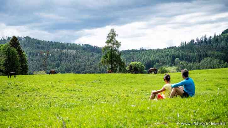 “Prima si cena, più a lungo si vive”: questo e altri 5 segreti della longevità che abbiamo imparato al Dolomiti Wellness Community Summit