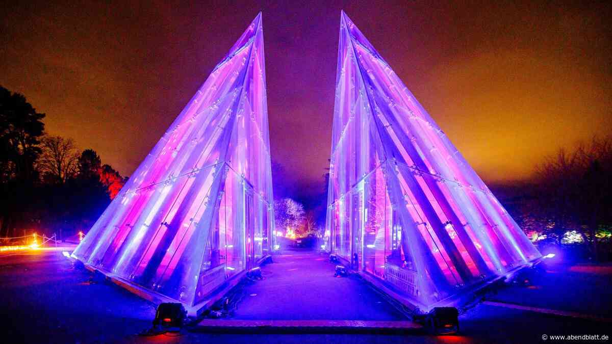 Programm zum Christmas Garden vorgestellt: Das ist neu bei der Lichtershow