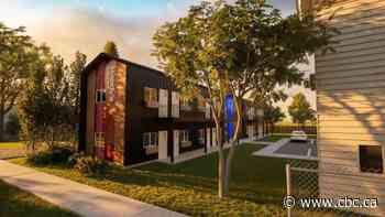 Tiny homes proposed to help address Saskatoon's homelessness crisis