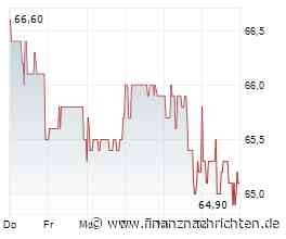Shelly Group steigert Neunmonatsumsatz um rund 30 Prozent