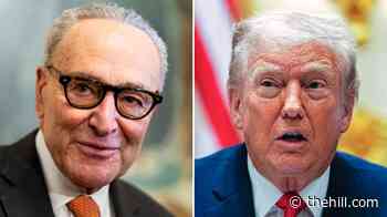 Schumer blasts Trump's 'bigoted bulls‑‑‑' on El-Sayed