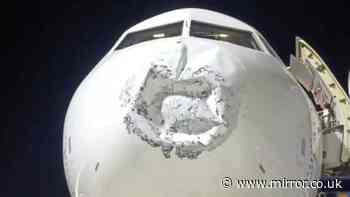 IndiGo flight with 110 passengers on board hit by 'lightning' at 17,000ft before landing