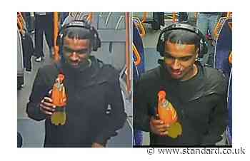 CCTV images released after woman sexually assaulted on train to London Bridge