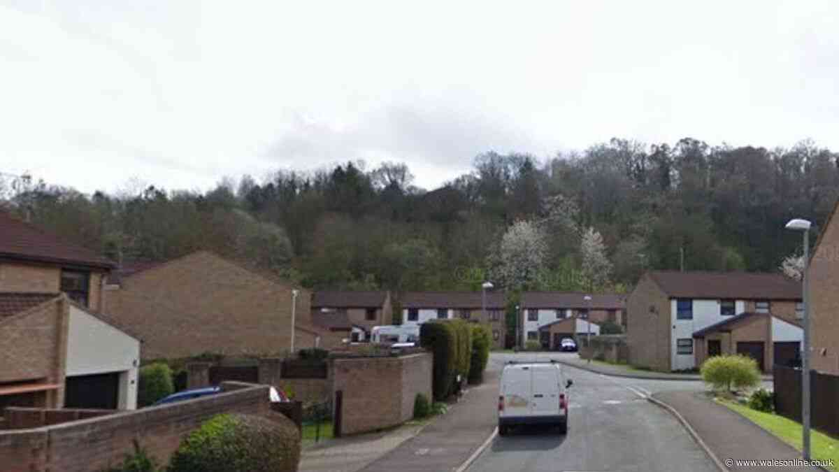Bomb disposal team called to street in Monmouth and residents evacuated