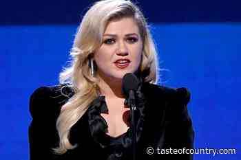 Kelly Clarkson Stops Show After Fan Suffers Medical Emergency