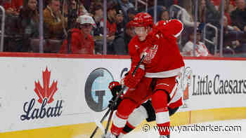 Red Wings Activate Jacob Bernard-Docker