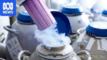 Elective egg freezing costs thousands, but most women never use them