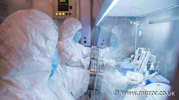 Andy Burnham gives UK update on Russia plague after scientist dies in 'test tube lab accident'