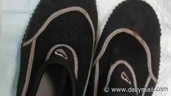 Police release images of wetsuit and swimming gear after unidentified body is found off exclusive Sandbanks peninsula