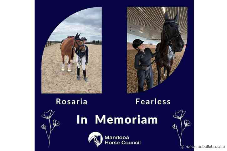 3 horses en route to Langley’s Tbird killed in Highway 1 crash near Revelstoke