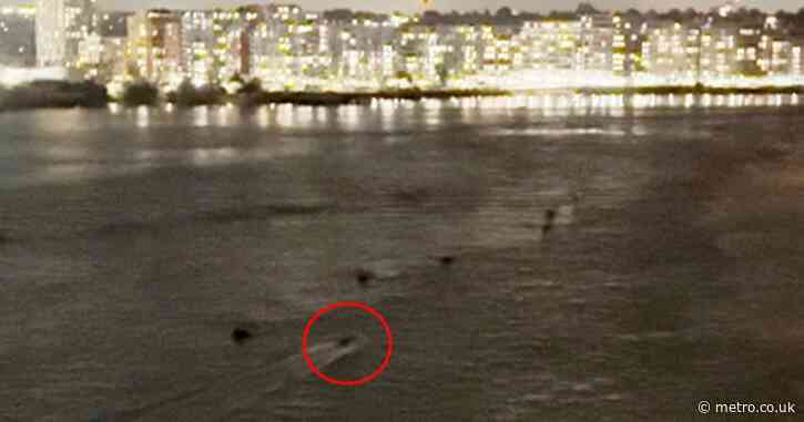 Mysterious unlit boat speeds through the River Thames