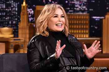 Roseanne Barr's New Comedy Series 'Meemaw': What We Know
