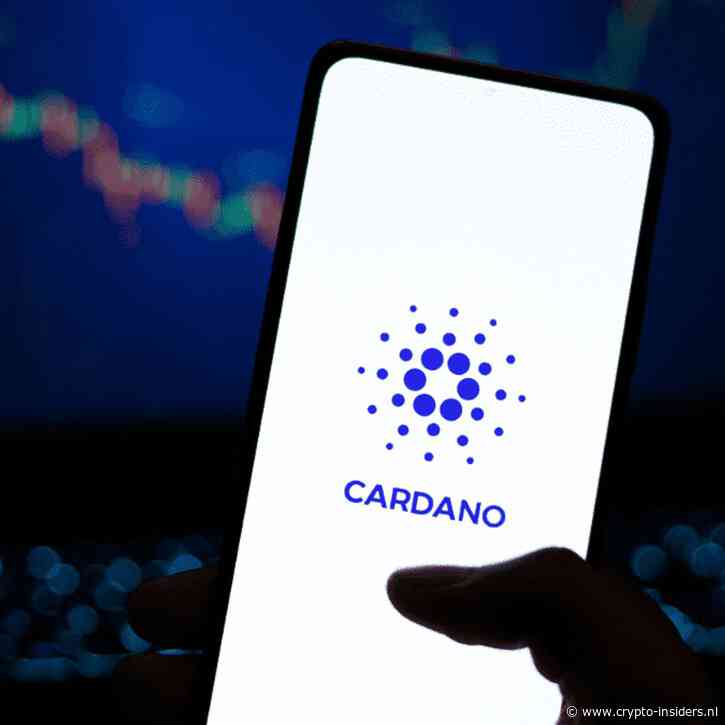 Echte bedrijfsaandelen digitaal vastgelegd op Cardano