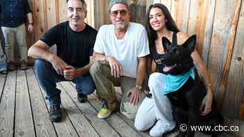 Meet the 'Brad Pitt of dogs,' and the Albertan who trained him