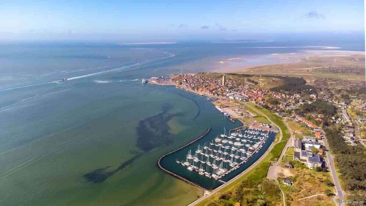 „Perle des Wattenmeers“: Insel in den Niederlanden ist „Paradies für Naturliebhaber“