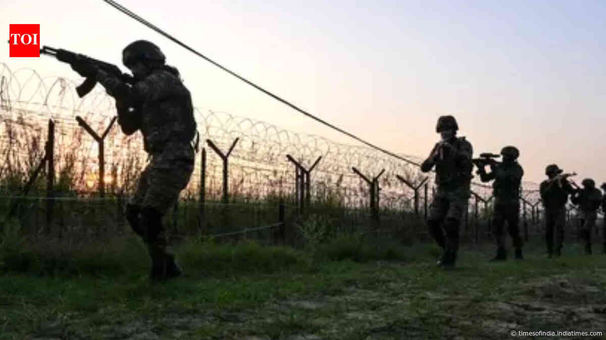 Jammu &amp; Kashmir: Landmine found along LoC in Poonch, destroyed