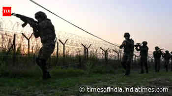 Jammu &amp; Kashmir: Landmine found along LoC in Poonch, destroyed