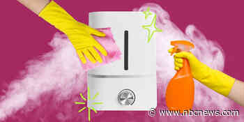 Your humidifier could be pumping mold into the air — here is how to clean it