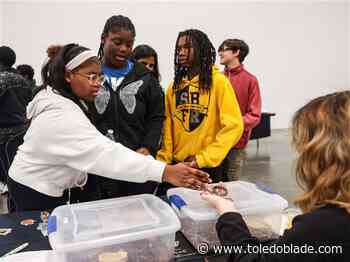 Students explore academic and future career options at Next Step